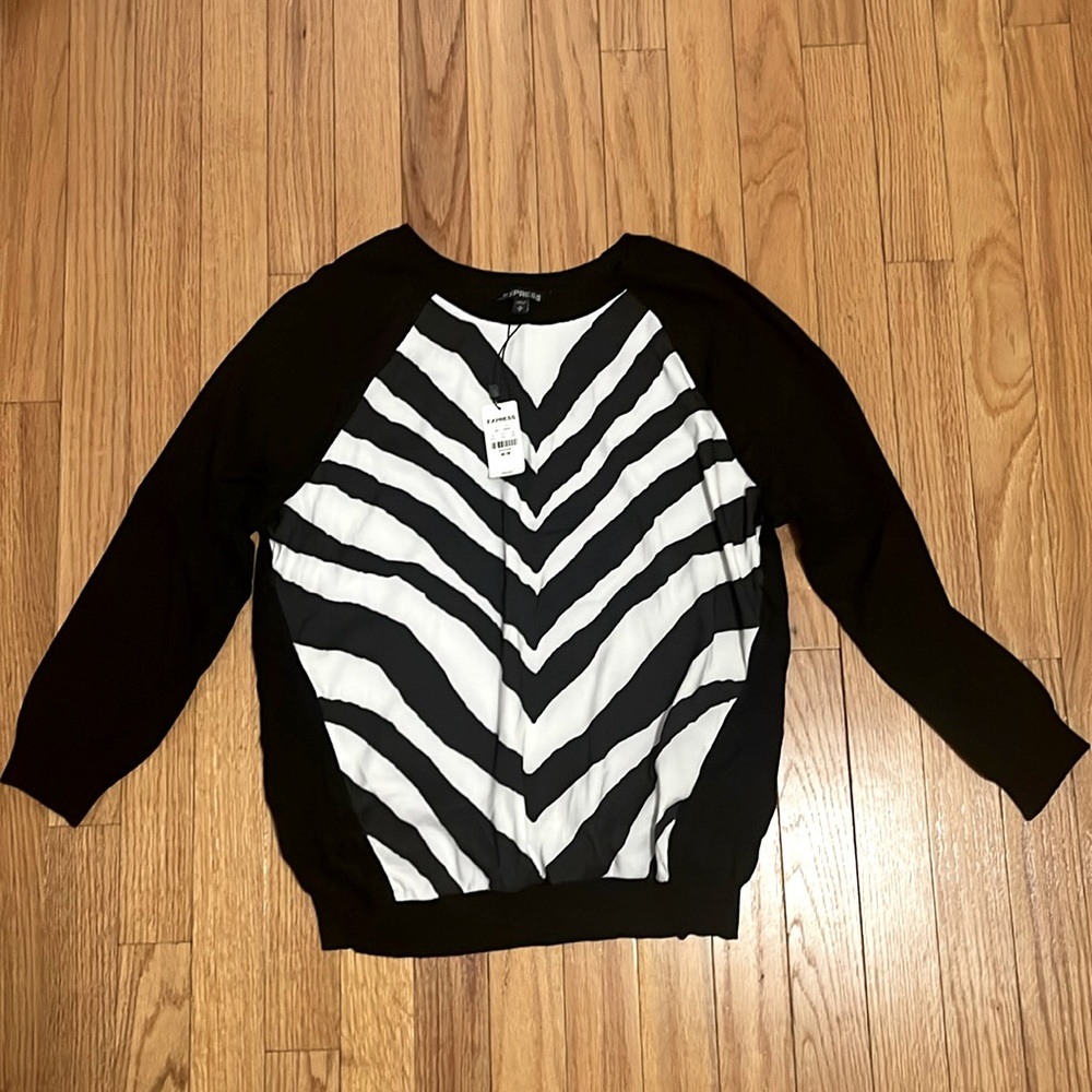 NWT Express sweater